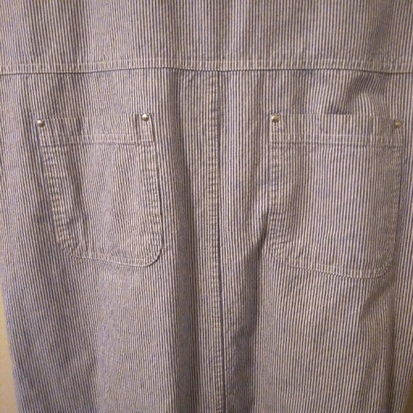 Y2K Mountain Lake Striped Denim Overall Dress Size Medium Petite - Picture 11 of 16